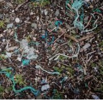 soil-contamination-by-plastic